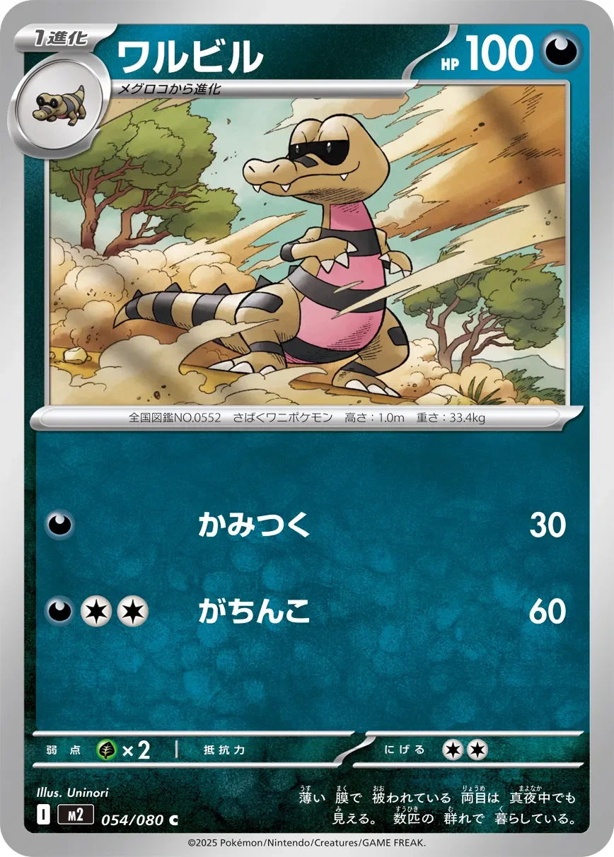Krokorok 「M2 054/080」「JP」