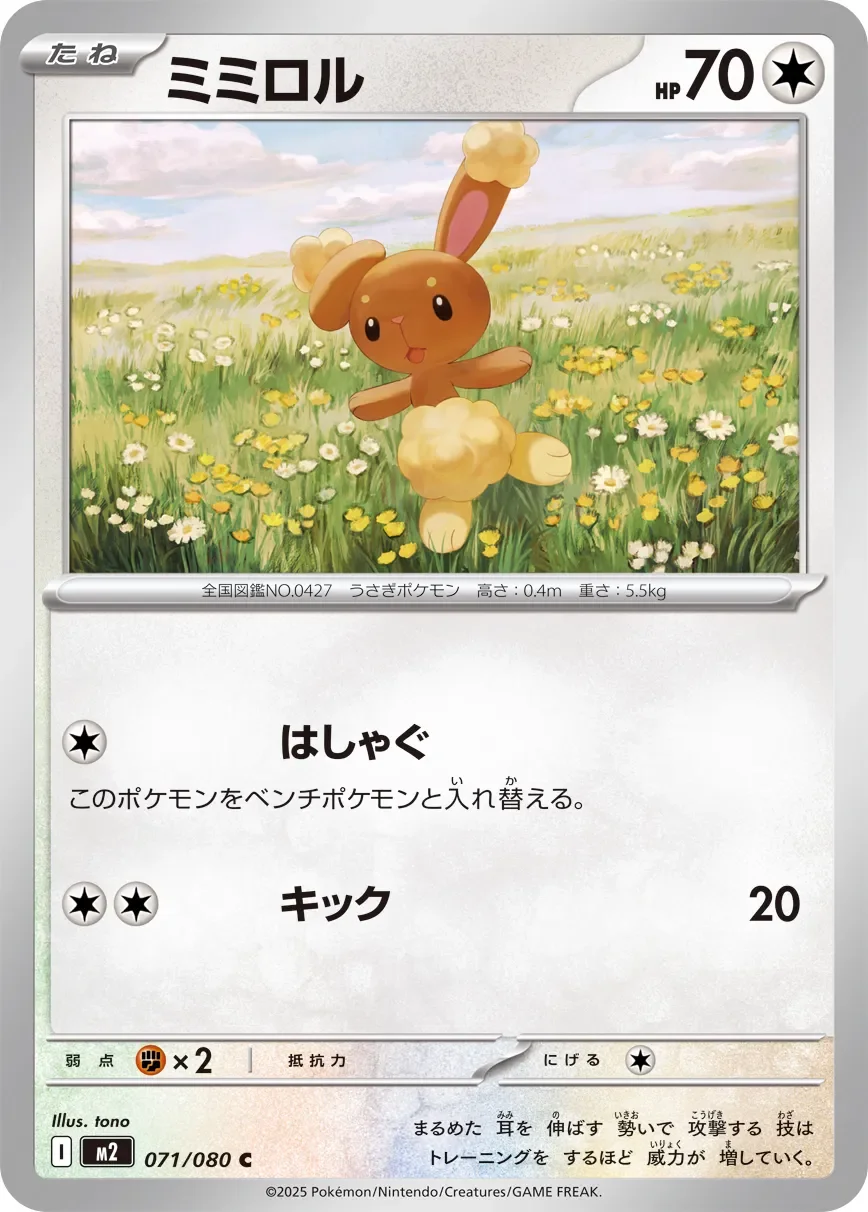 Buneary 「M2 071/080」「JP」