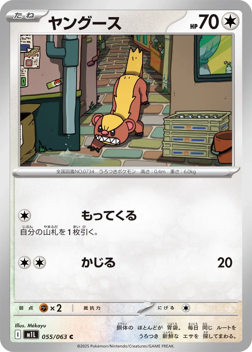 Yungoos 「M1L 055/063」「JP」