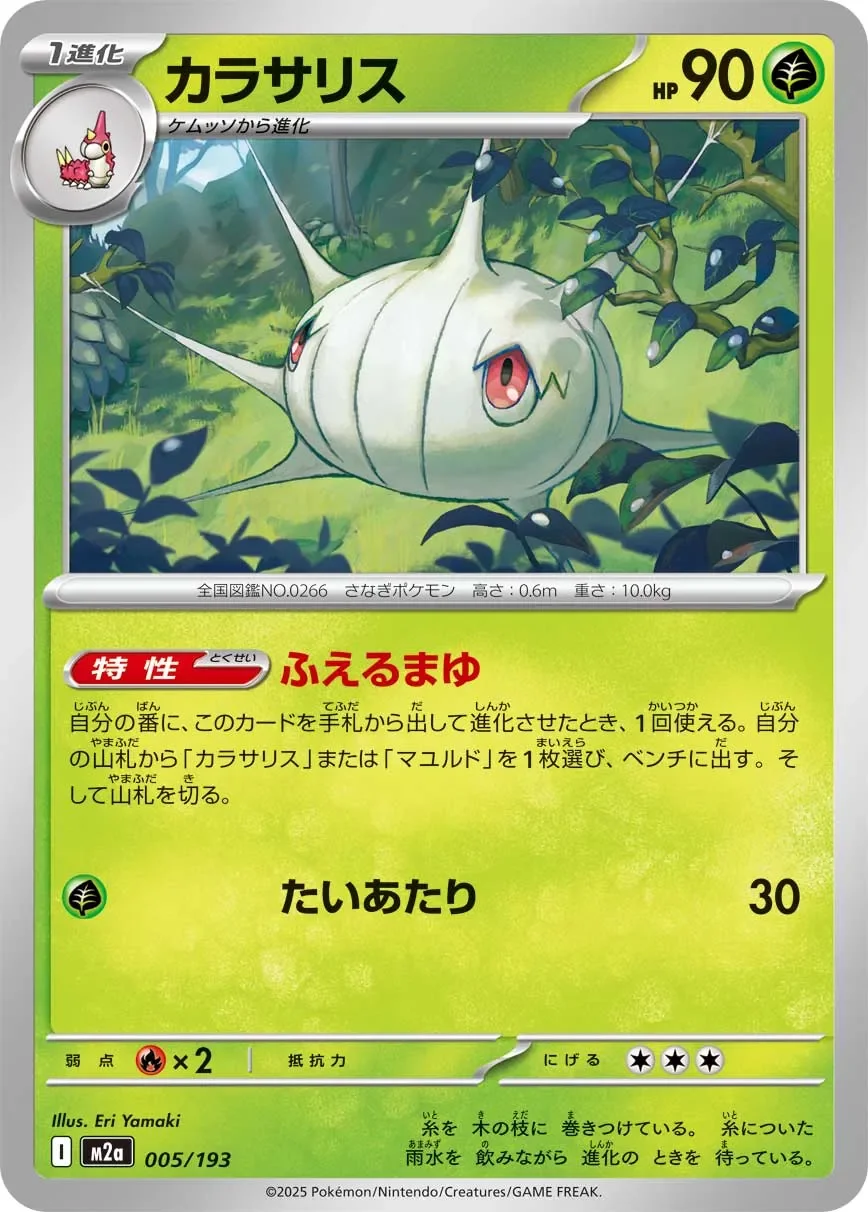 Silcoon 「M2A 005/193」「JP」