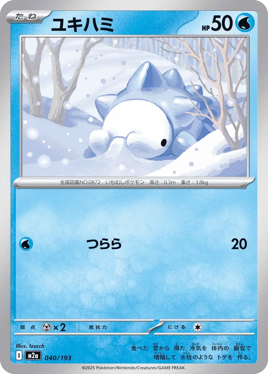 Snom 「M2A 040/193」「JP」