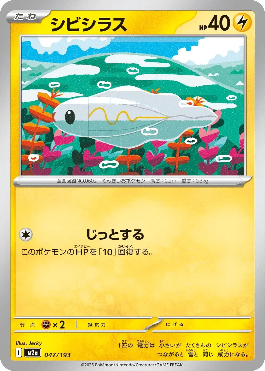 Tynamo 「M2A 047/193」「JP」