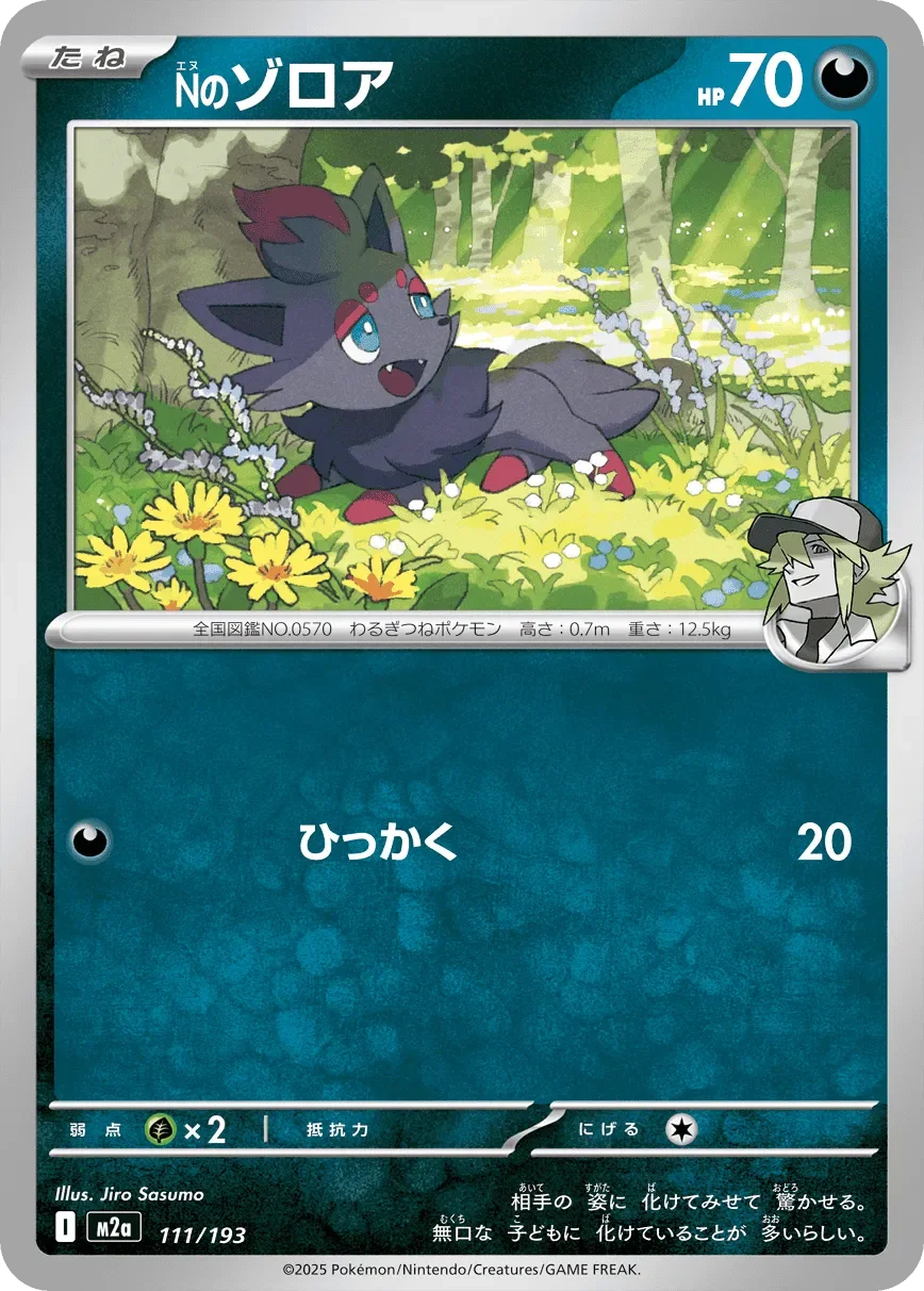 N's Zorua 「M2A 111/193」「JP」