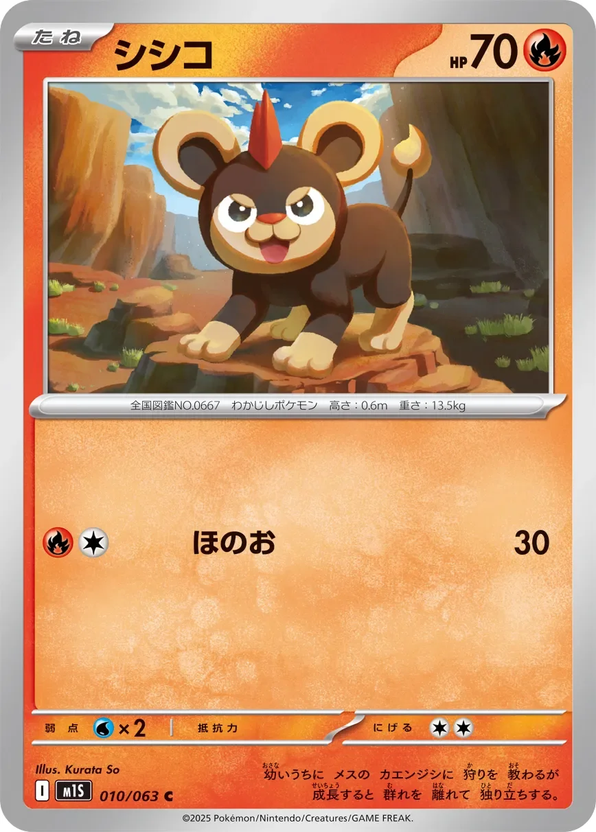 Litleo 「M1S 010/063」「JP」