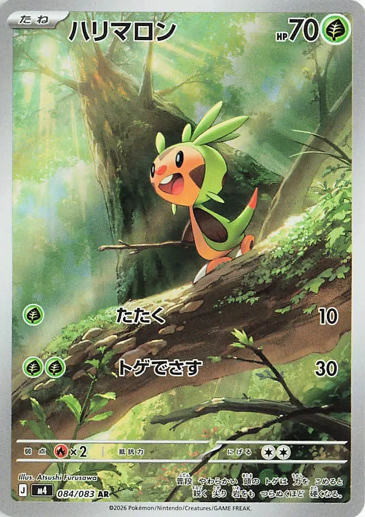 Chespin 「M4 084/083」「JP」