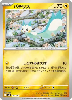 Pachirisu #247/742 · Pokémon