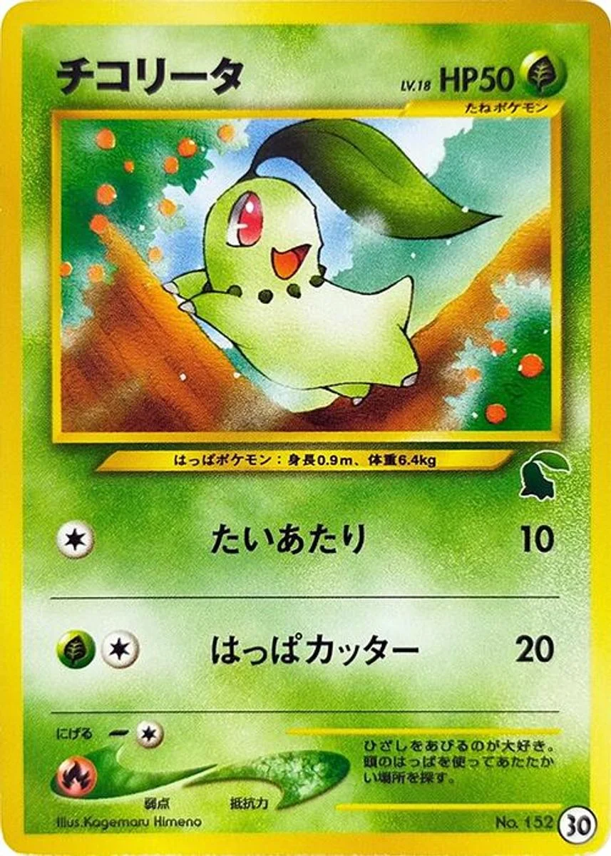Chikorita 「INTRO_PACK_NEO_CHIKORITA 30」「JP」