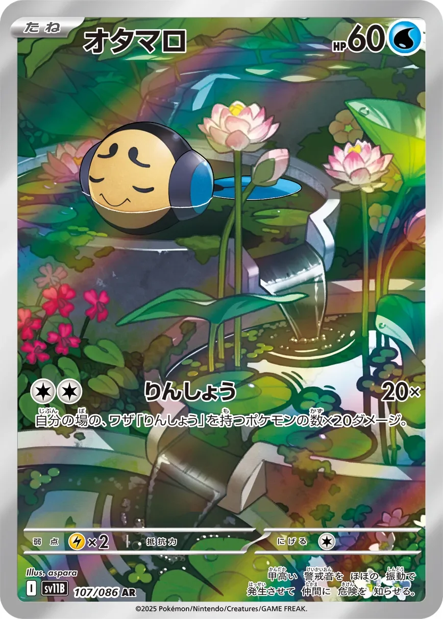 Tympole 「SV11B 107/086」「JP」