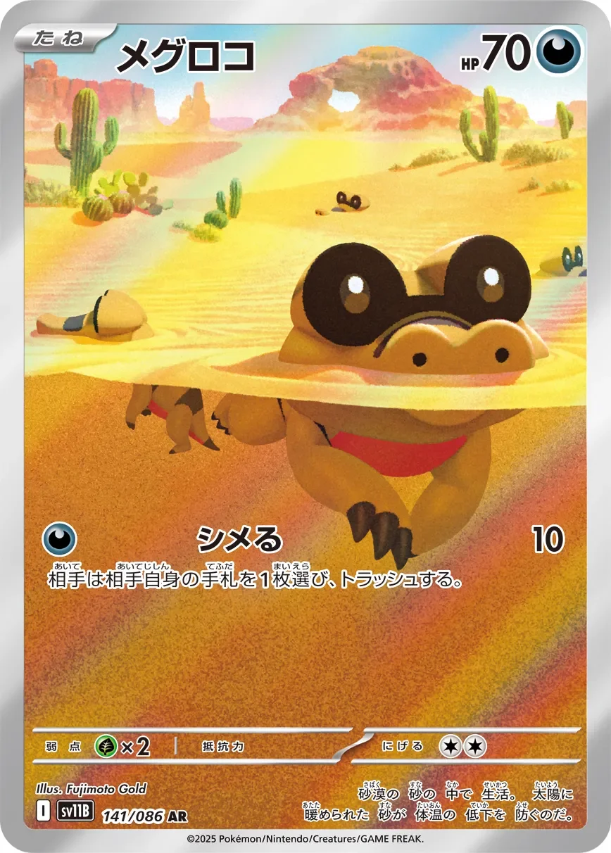 Sandile 「SV11B 141/086」「JP」