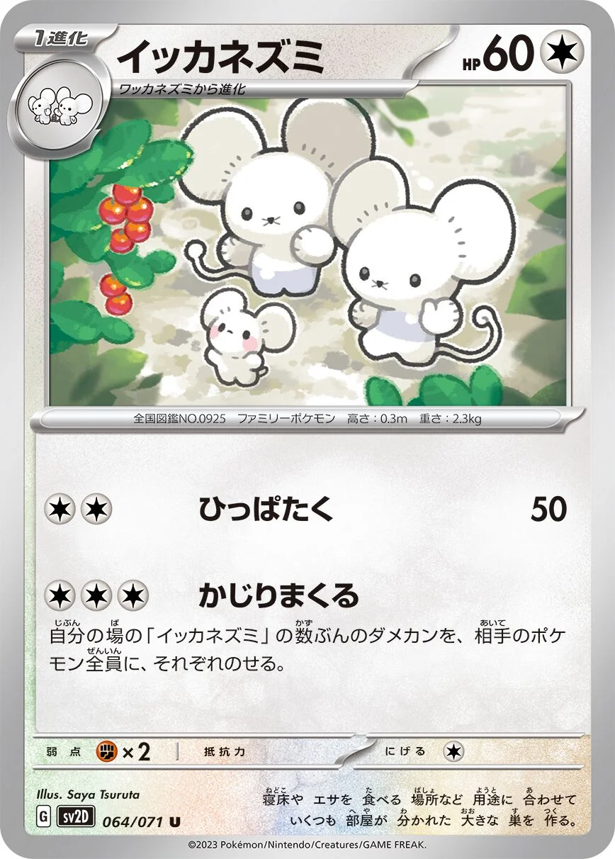 Maushold 「SV2D 064/071」「JP」