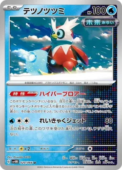Iron Bundle #020/066 · Pokémon