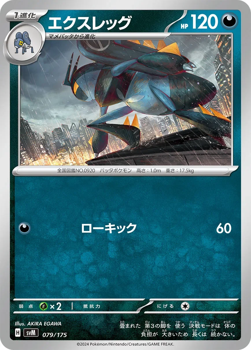 Lokix 「SVM 079/175」「JP」