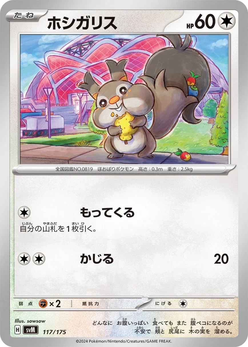 Skwovet 「SVM 117/175」「JP」