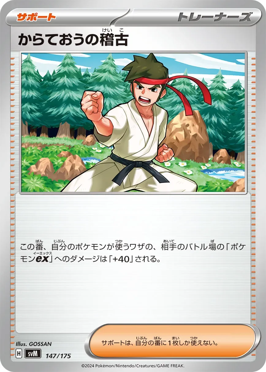 Black Belt's Training 「SVM 147/175」「JP」