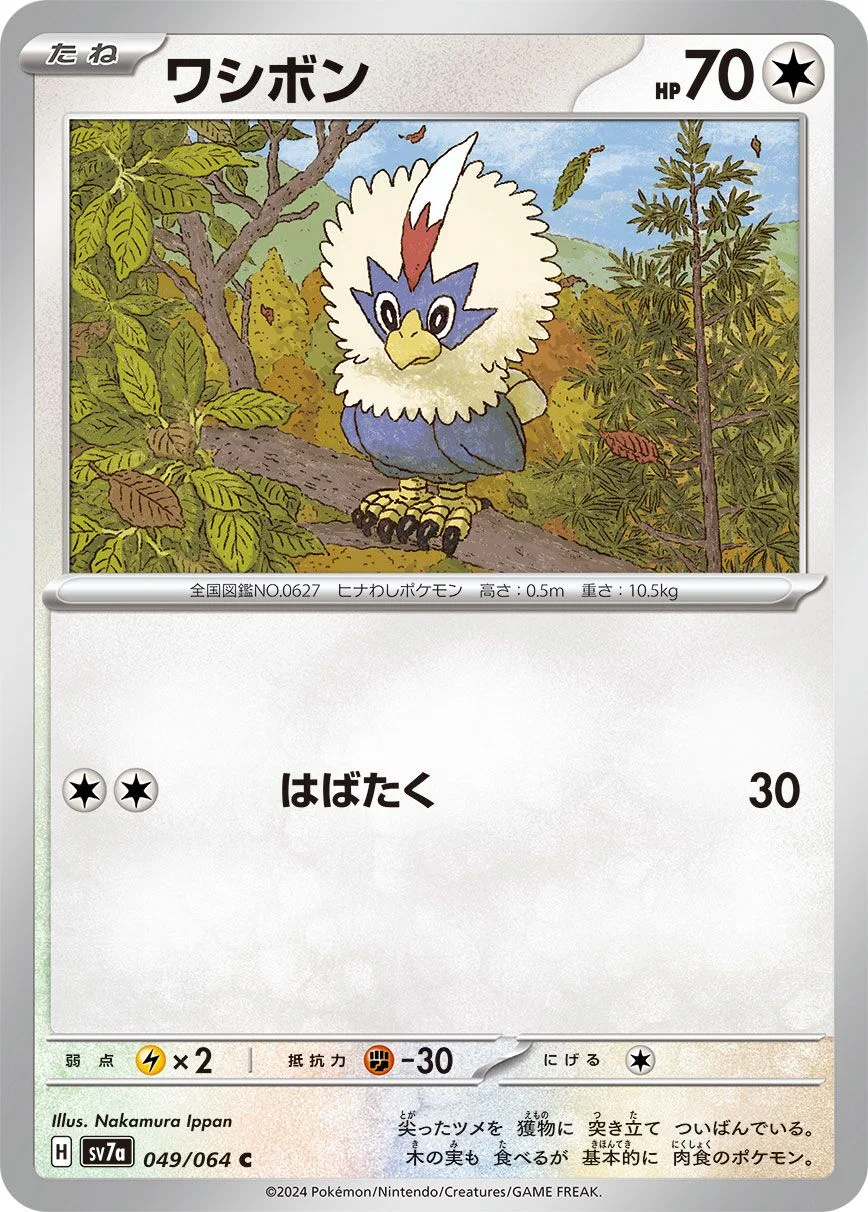 Rufflet 「SV7A 049/064」「JP」