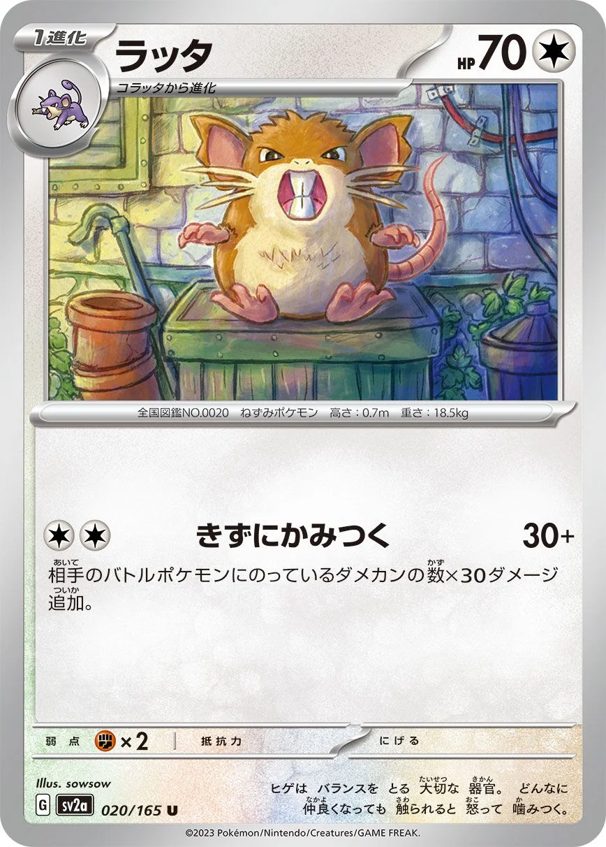 Raticate 「SV2A 020/165」「JP」