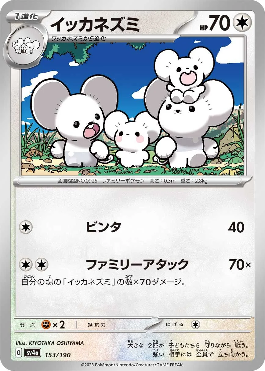 Maushold 「SV4A 153/190」「JP」