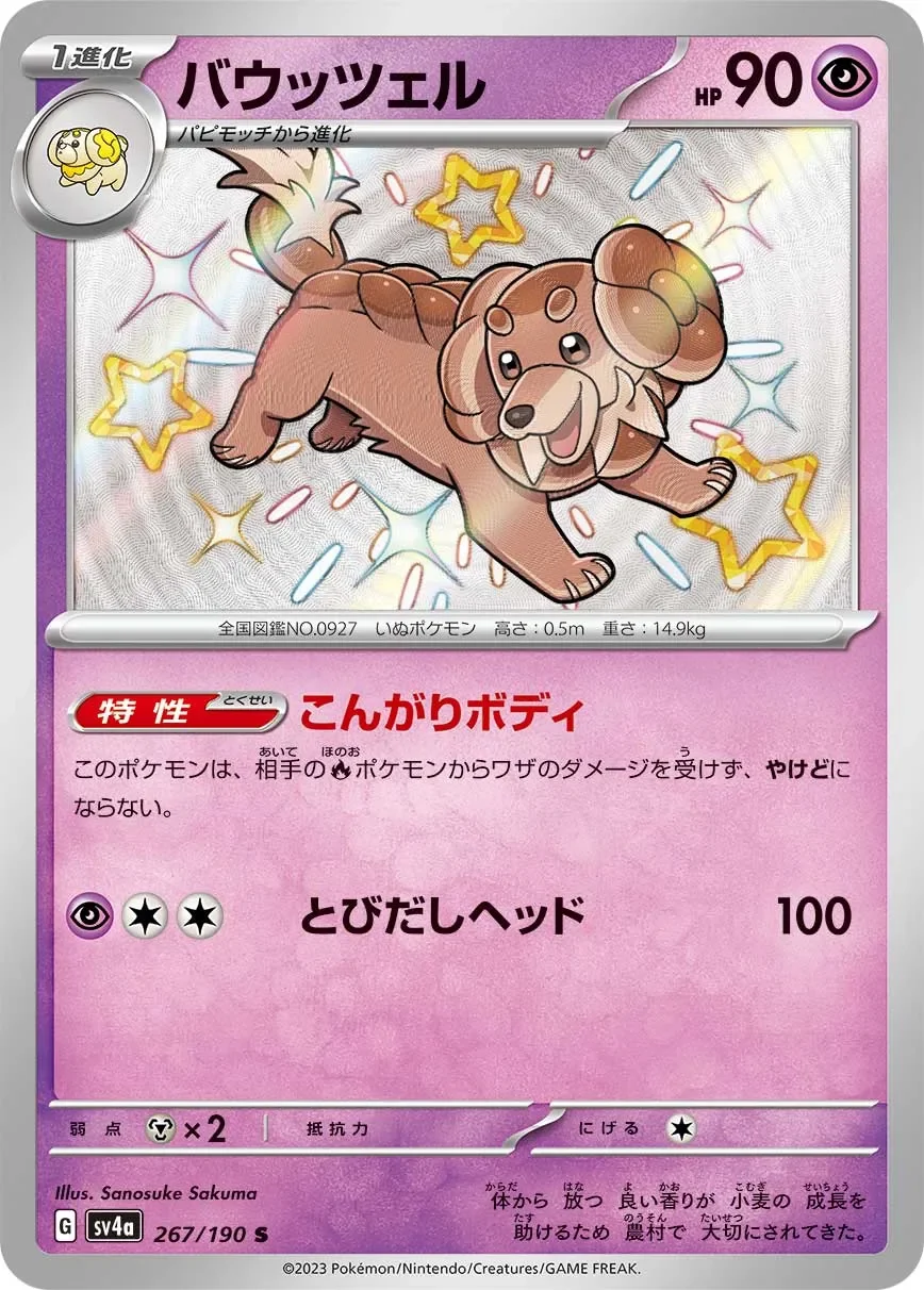 Dachsbun 「SV4A 267/190」「JP」