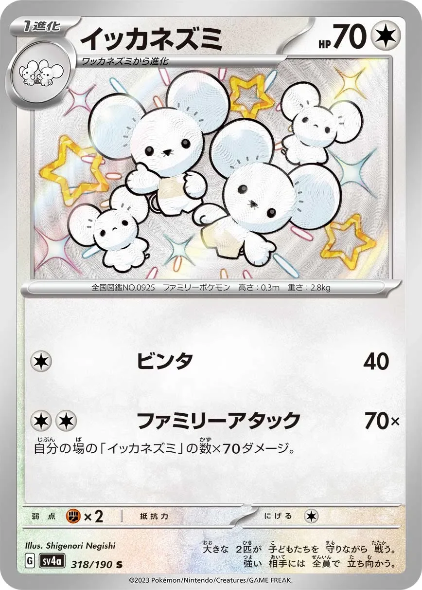 Maushold 「SV4A 318/190」「JP」