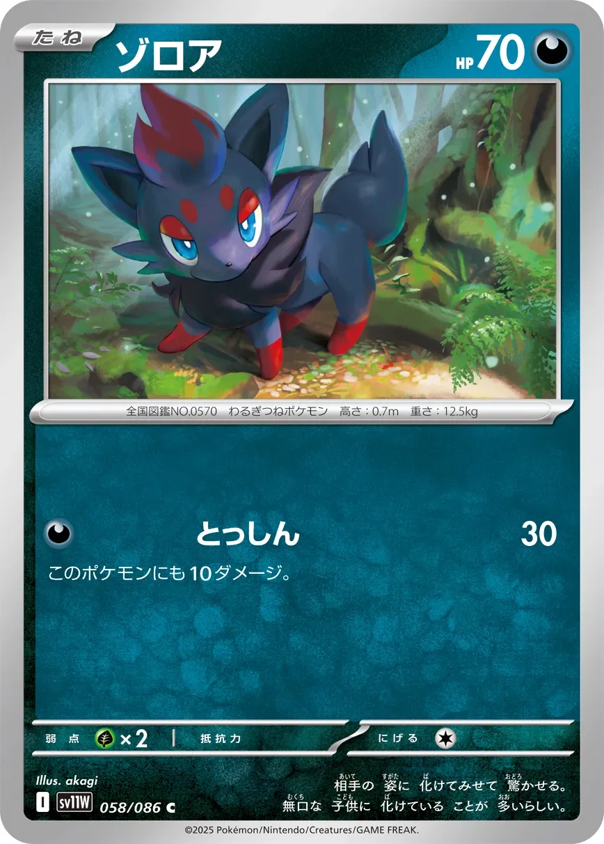 Zorua 「SV11W 058/086」「JP」