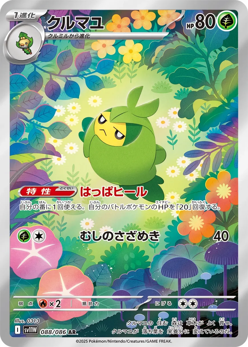 Swadloon 「SV11W 088/086」「JP」