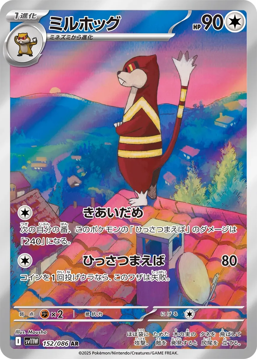 Watchog 「SV11W 152/086」「JP」