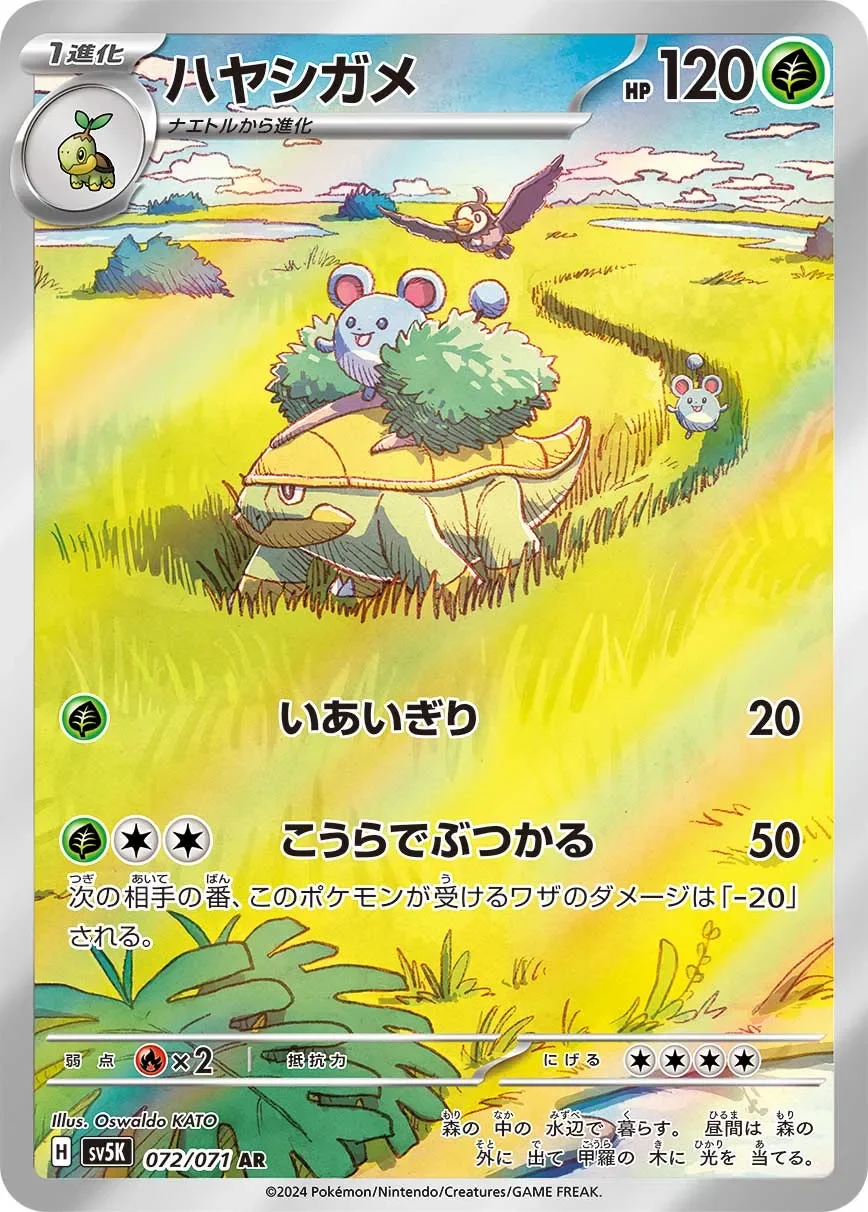 Grotle 「SV5K 072/071」「JP」