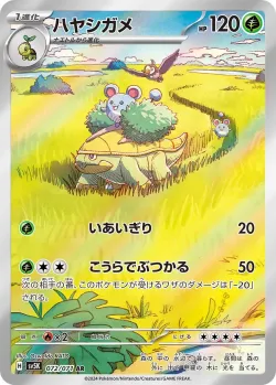 Grotle 「SV5K 072/071」「JP」