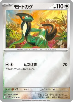 Cyclizar 「WCS23 015/030」「JP」