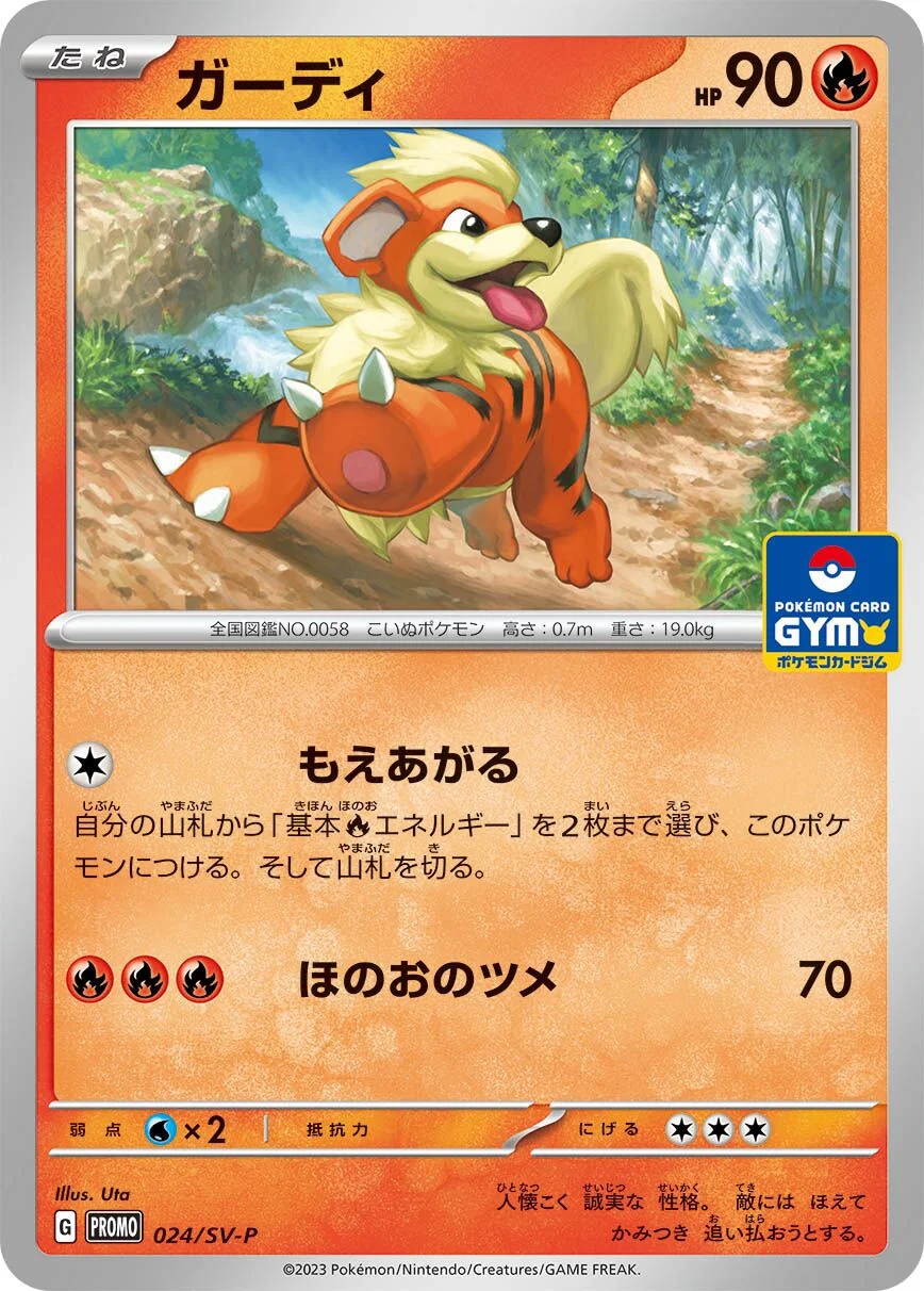 Growlithe 「SVP 024/SV-P」「JP」
