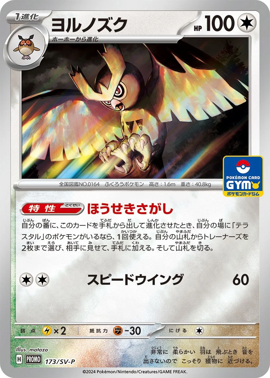 Noctowl 「SVP 173/SV-P」「JP」