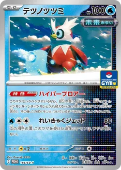 Iron Bundle #185/SV-P · Pokémon