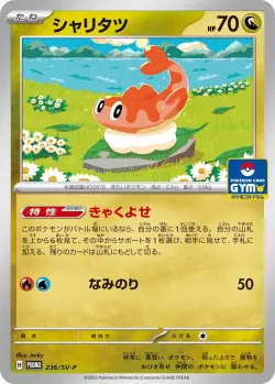 Tatsugiri #236/SV-P · Pokémon