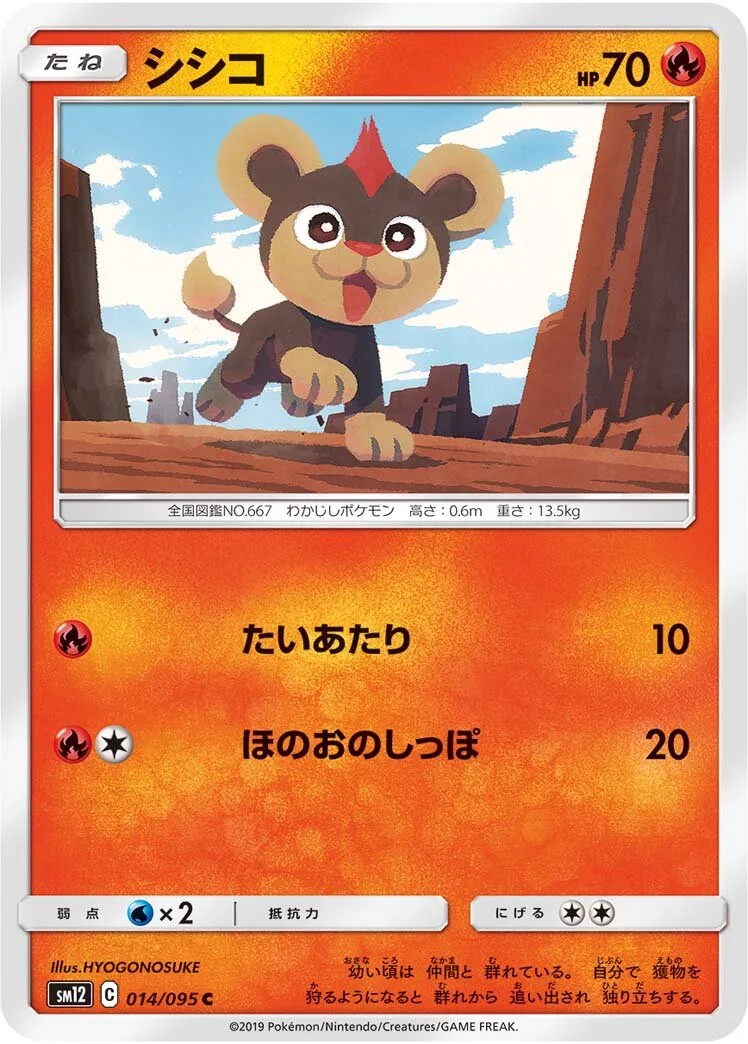 Litleo 「SM12 014/095」「JP」