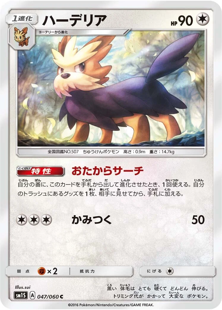 Herdier 「SM1S 047/060」「JP」