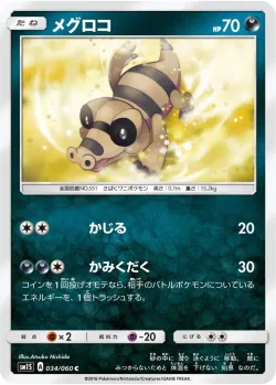 Sandile 「SM1S 034/060」「JP」