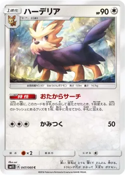 Herdier 「SM1S 047/060」「JP」