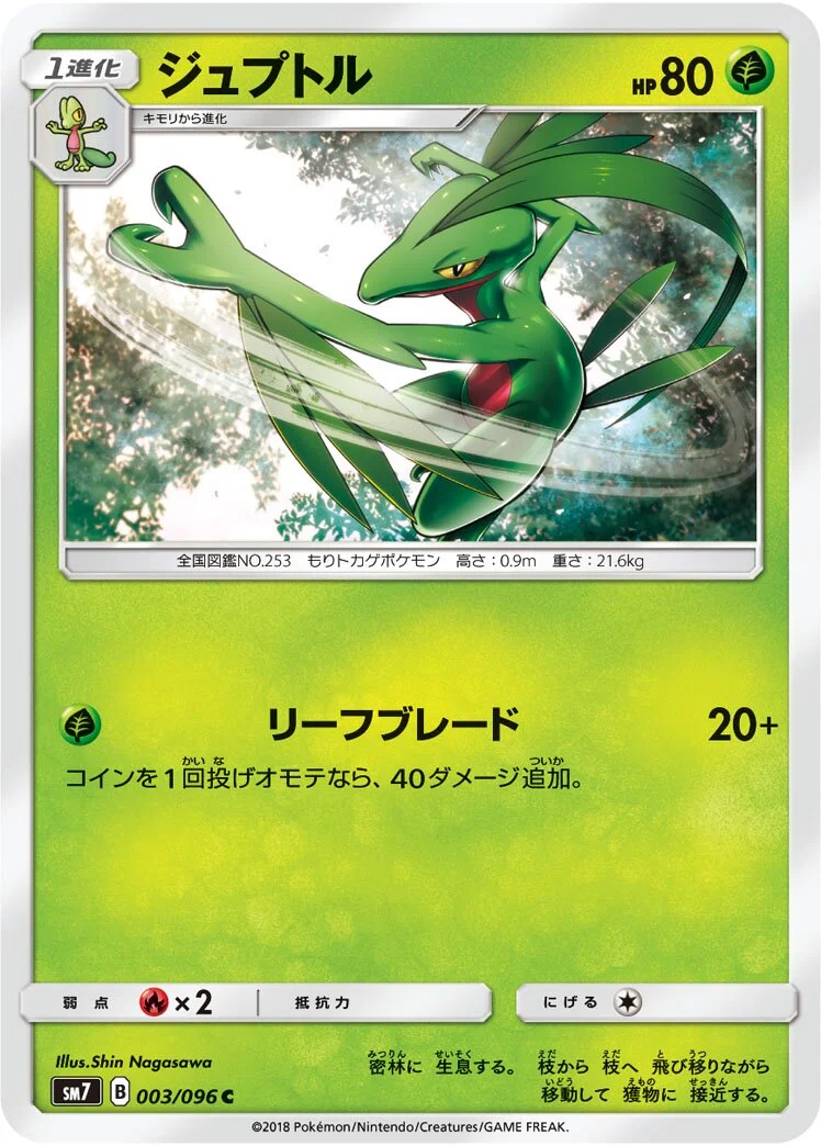 Grovyle 「SM7 003/096」「JP」