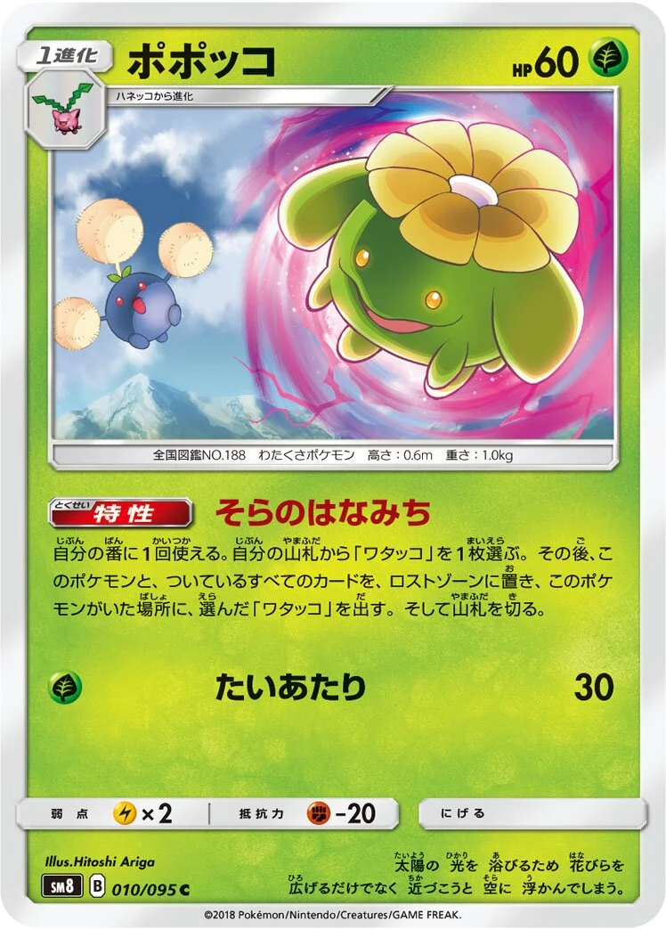 Skiploom 「SM8 010/095」「JP」