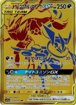 Greninja & Zoroark-GX 「SM12A 223/173」「JP」