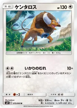Tauros 「SM9 075/095」「JP」