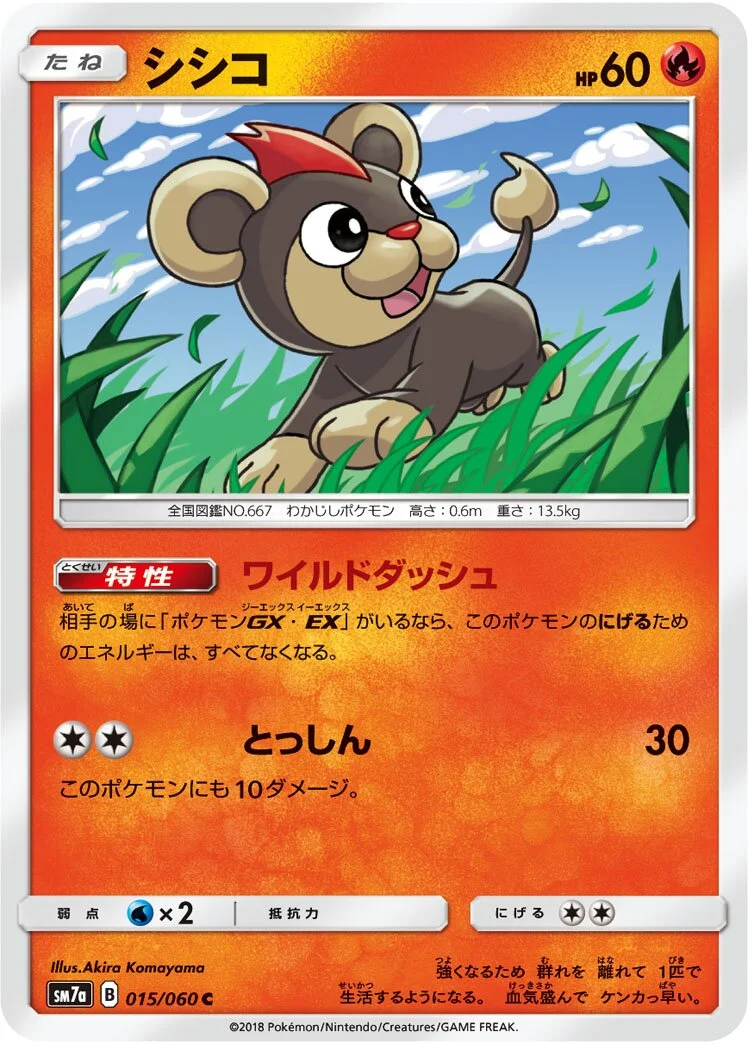 Litleo 「SM7A 015/060」「JP」