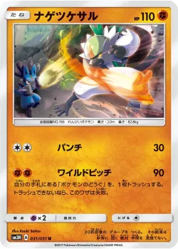 Passimian 「SM3H 031/051」「JP」