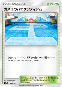Misty's Cerulean City Gym 「SMK 029/031」「JP」