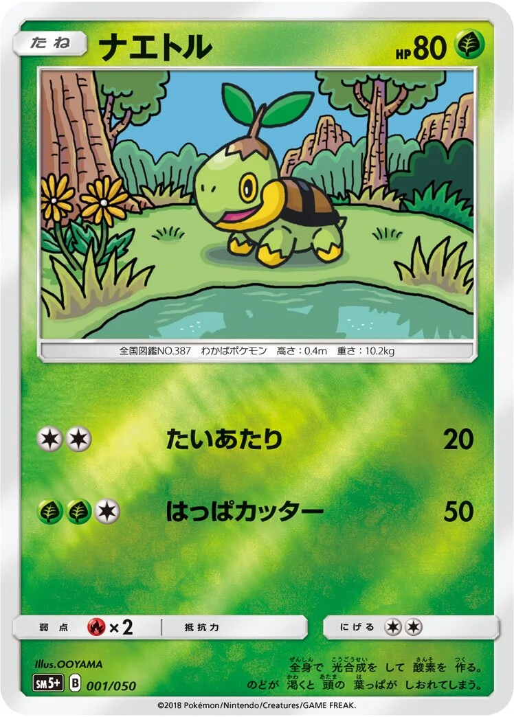 Turtwig 「SM5+ 001/050」「JP」