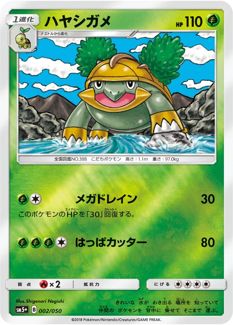 Grotle 「SM5+ 002/050」「JP」