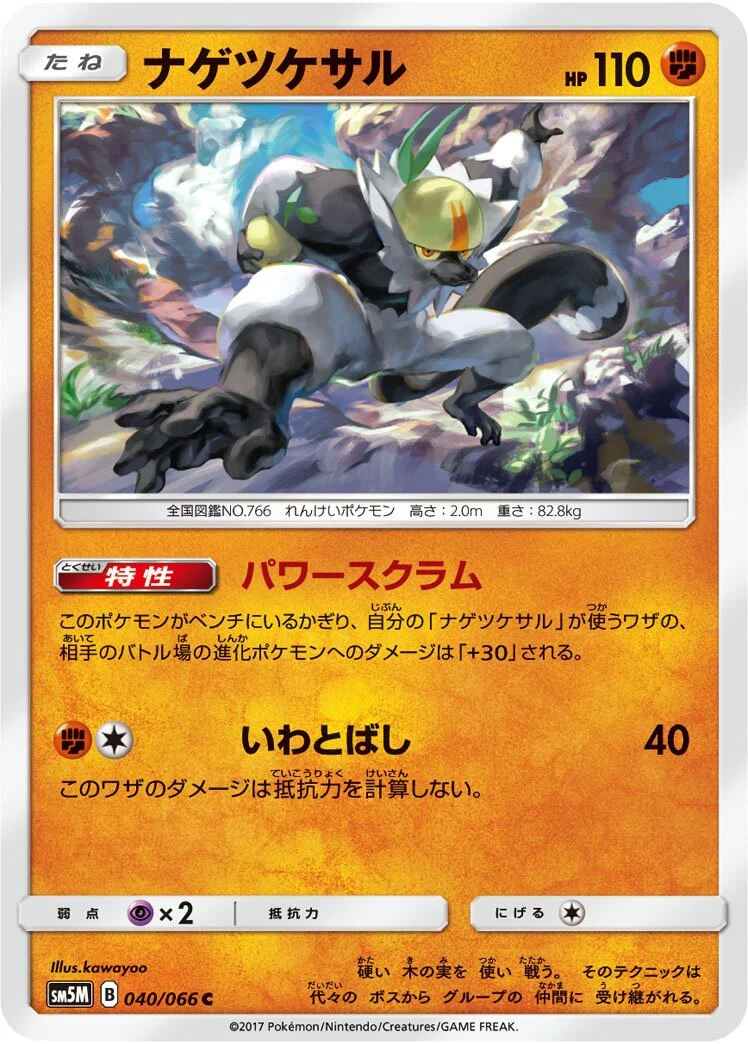 Passimian 「SM5M 040/066」「JP」