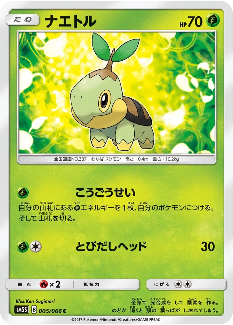 Turtwig 「SM5S 005/066」「JP」