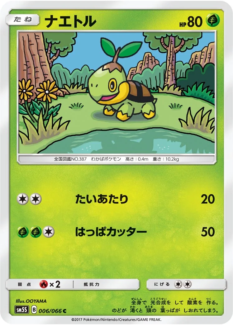 Turtwig 「SM5S 006/066」「JP」