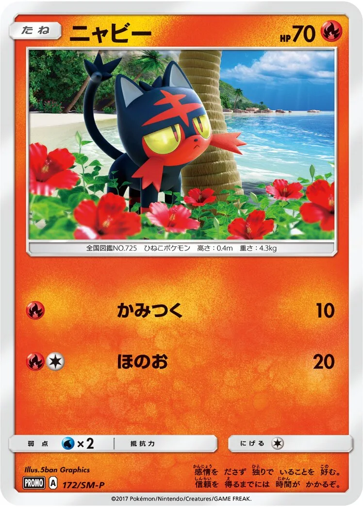 Litten 「SMP 172/SM-P」「JP」